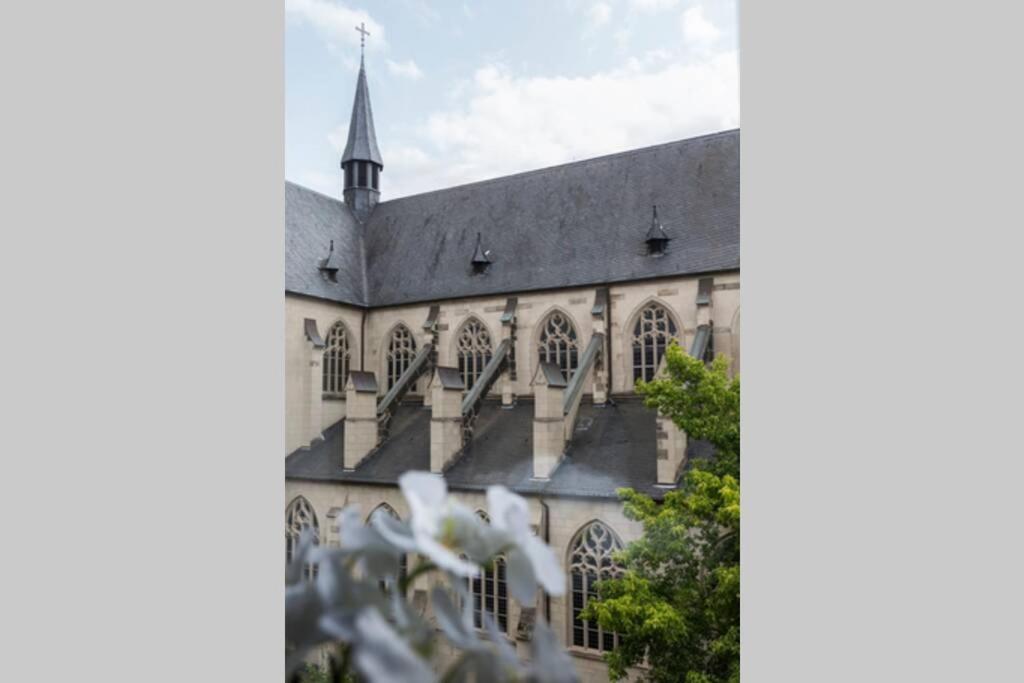 Beautiful Cozy 1-Room Apartment, Near Rhine デュッセルドルフ エクステリア 写真
